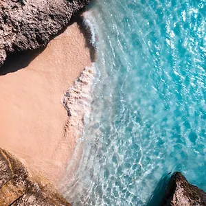  Apartamento Palm Paradise Vacation Aruba